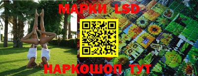мяу мяу мука Ирбит