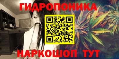 герыч Дубна