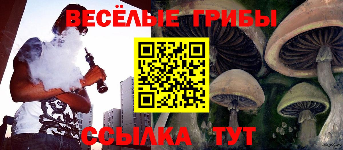 Галлюциногенные грибы Psilocybine cubensis  Вход с VPN  Шелехов 