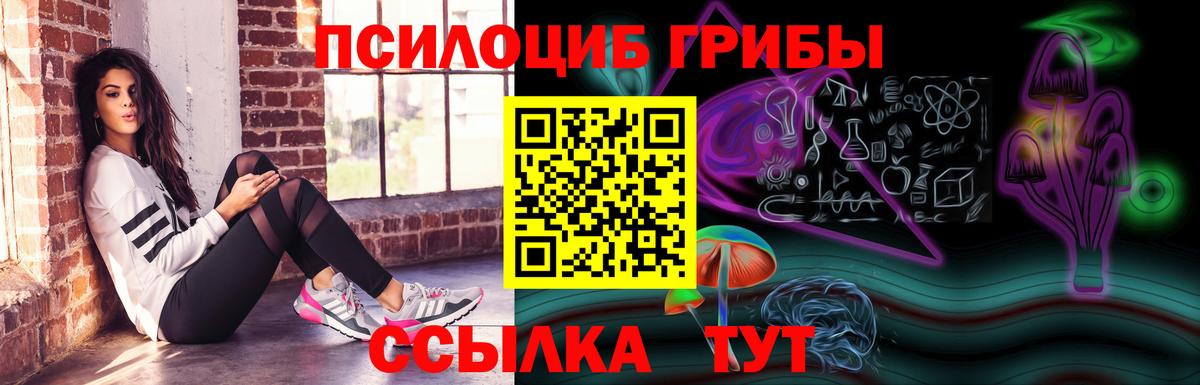 Галлюциногенные грибы мицелий Шелехов
