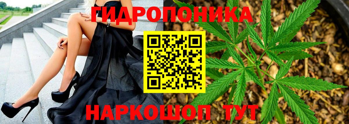 Канабис семена Шелехов